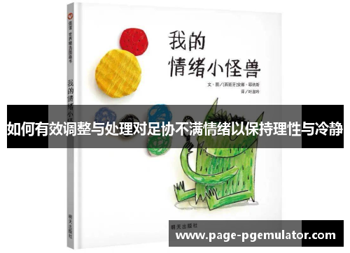如何有效调整与处理对足协不满情绪以保持理性与冷静 如何有效调整与处理对足协不满情绪以保持理性与冷静