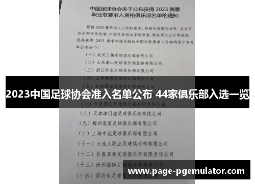 2023中国足球协会准入名单公布 44家俱乐部入选一览 2023中国足球协会准入名单公布 44家俱乐部入选一览