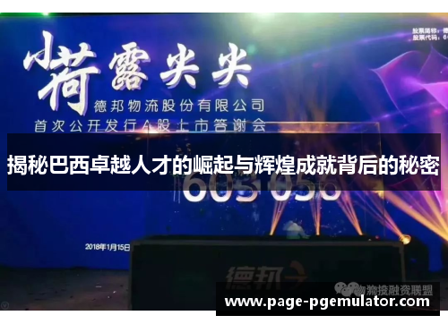 揭秘巴西卓越人才的崛起与辉煌成就背后的秘密 揭秘巴西卓越人才的崛起与辉煌成就背后的秘密