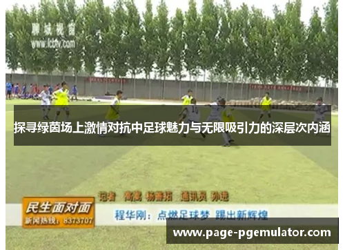 探寻绿茵场上激情对抗中足球魅力与无限吸引力的深层次内涵 探寻绿茵场上激情对抗中足球魅力与无限吸引力的深层次内涵