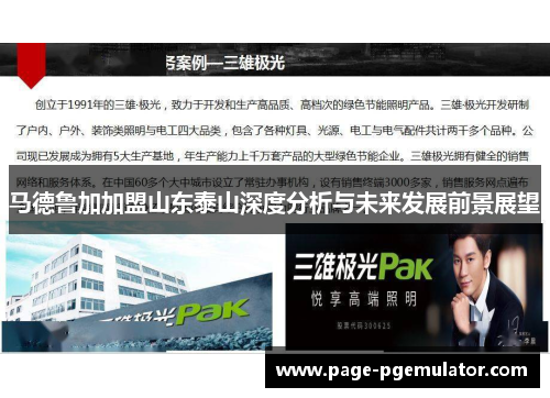 马德鲁加加盟山东泰山深度分析与未来发展前景展望