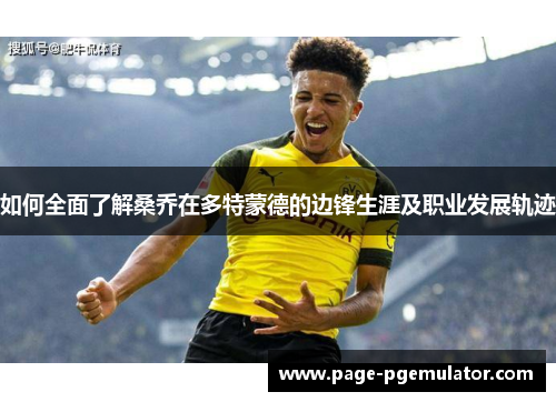 如何全面了解桑乔在多特蒙德的边锋生涯及职业发展轨迹 如何全面了解桑乔在多特蒙德的边锋生涯及职业发展轨迹