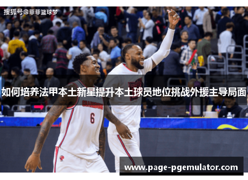 如何培养法甲本土新星提升本土球员地位挑战外援主导局面 如何培养法甲本土新星提升本土球员地位挑战外援主导局面