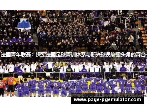 法国青年联赛：探索法国足球青训体系与新兴球员崭露头角的舞台