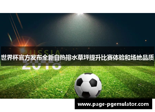世界杯官方发布全新自热排水草坪提升比赛体验和场地品质