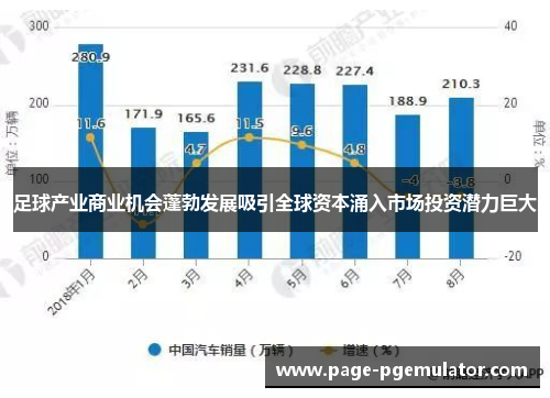 足球产业商业机会蓬勃发展吸引全球资本涌入市场投资潜力巨大 足球产业商业机会蓬勃发展吸引全球资本涌入市场投资潜力巨大