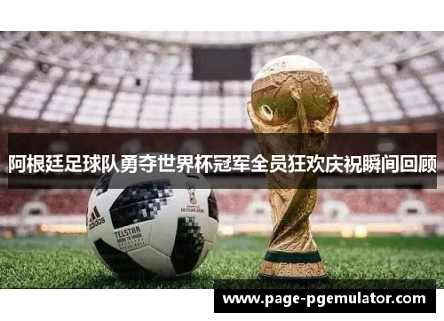 阿根廷足球队勇夺世界杯冠军全员狂欢庆祝瞬间回顾